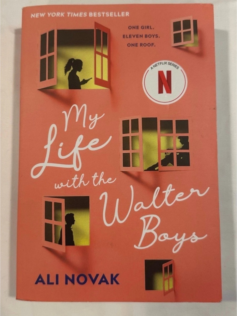 Sourcebooks Fire My Life with the Walter Boys Book by Ali Novak